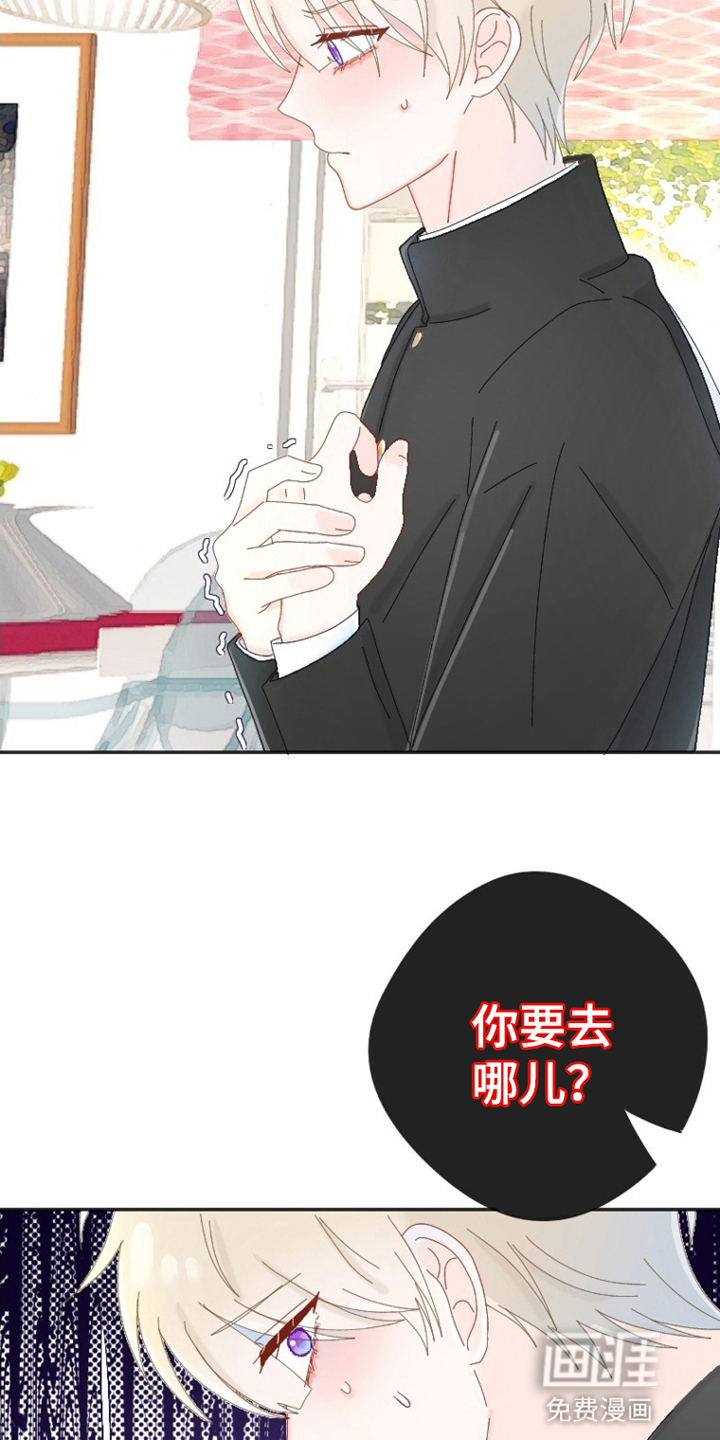 第5话：第5章：公主预览分镜