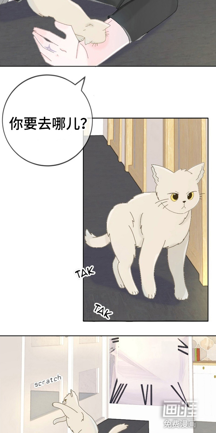 第6话：第6章：出门预览分镜