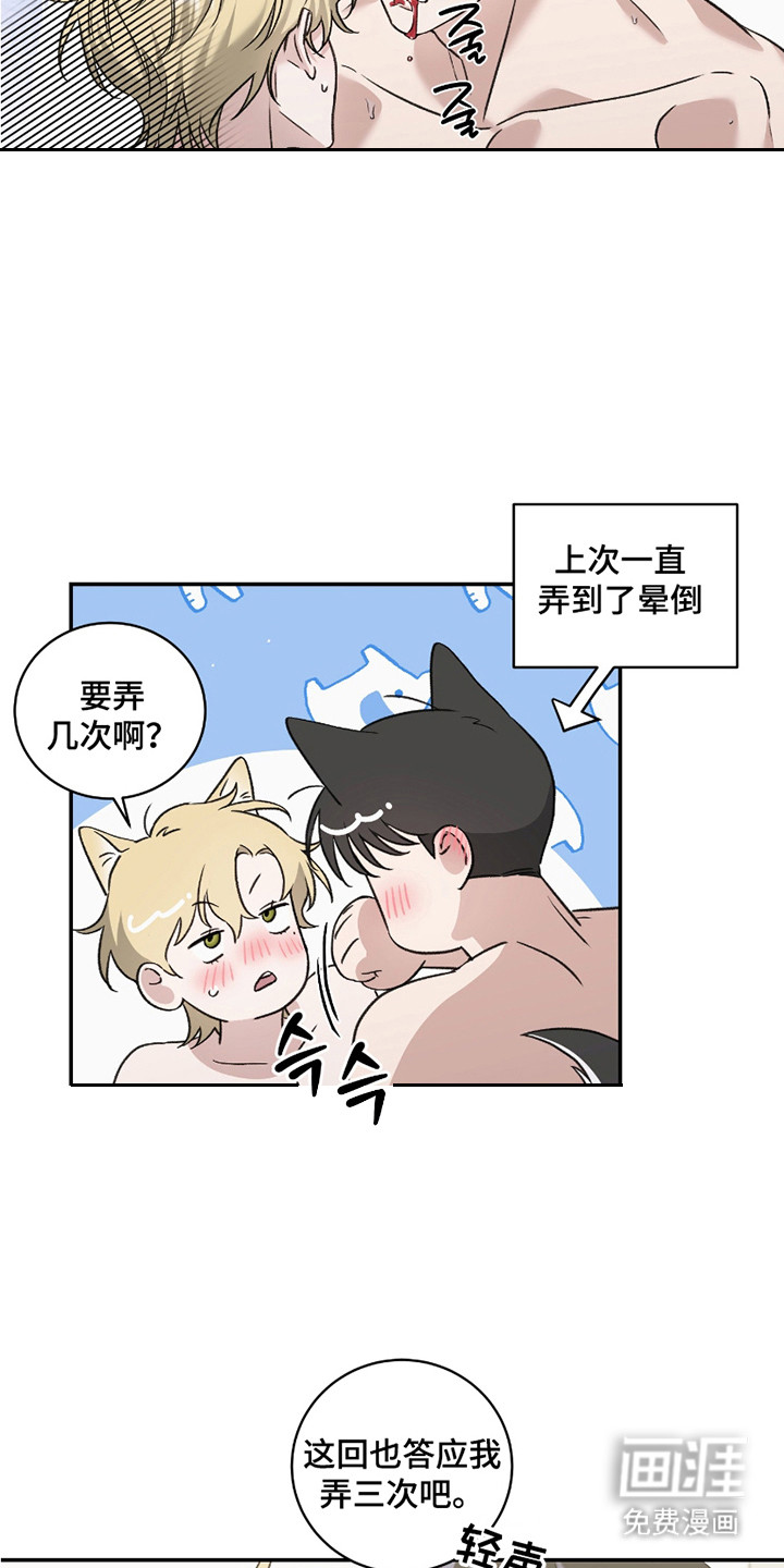 第14话：第14章：不演了（完结）预览分镜