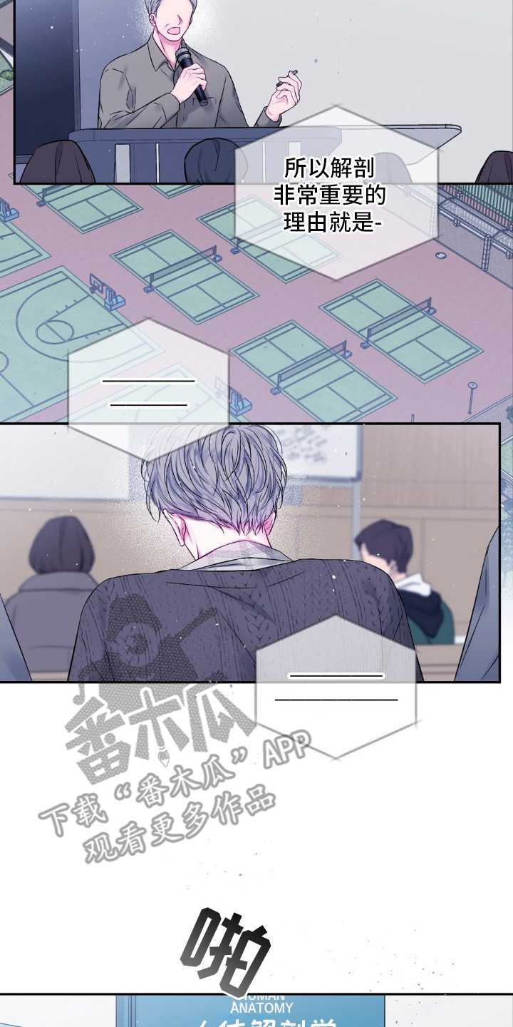 第2话：第2章：猫咪书店预览分镜