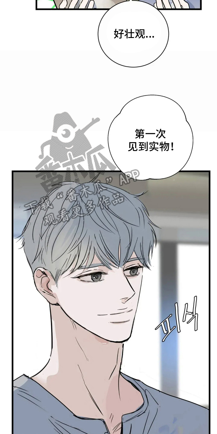 第9话：第9章：抽象画预览分镜