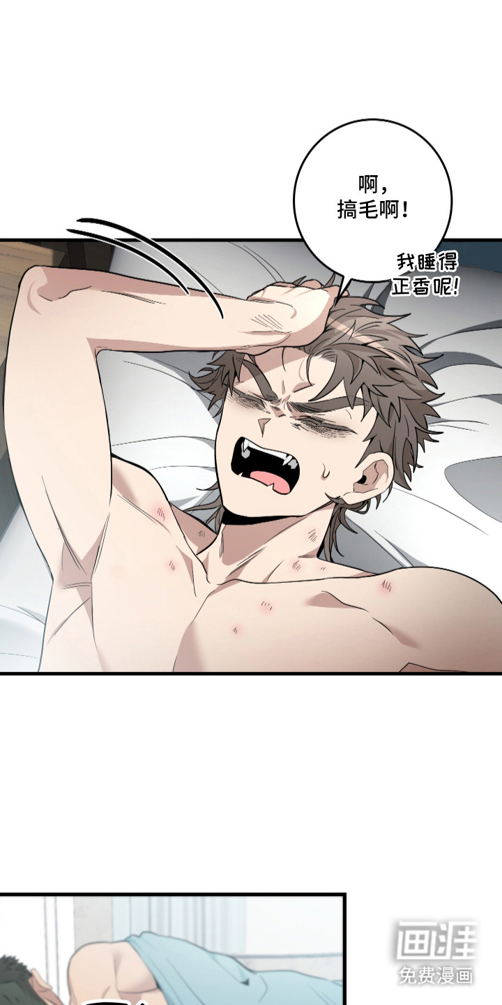 第14话：第14章：戏耍预览分镜