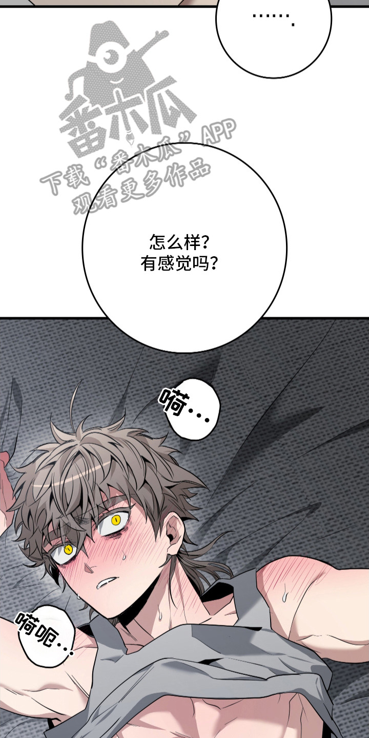 第18话：第18章：强势预览分镜