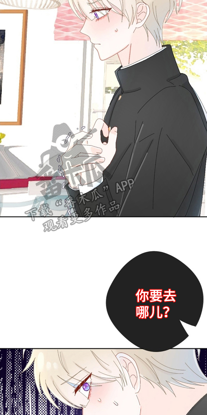 第5话：第5章：公主预览分镜