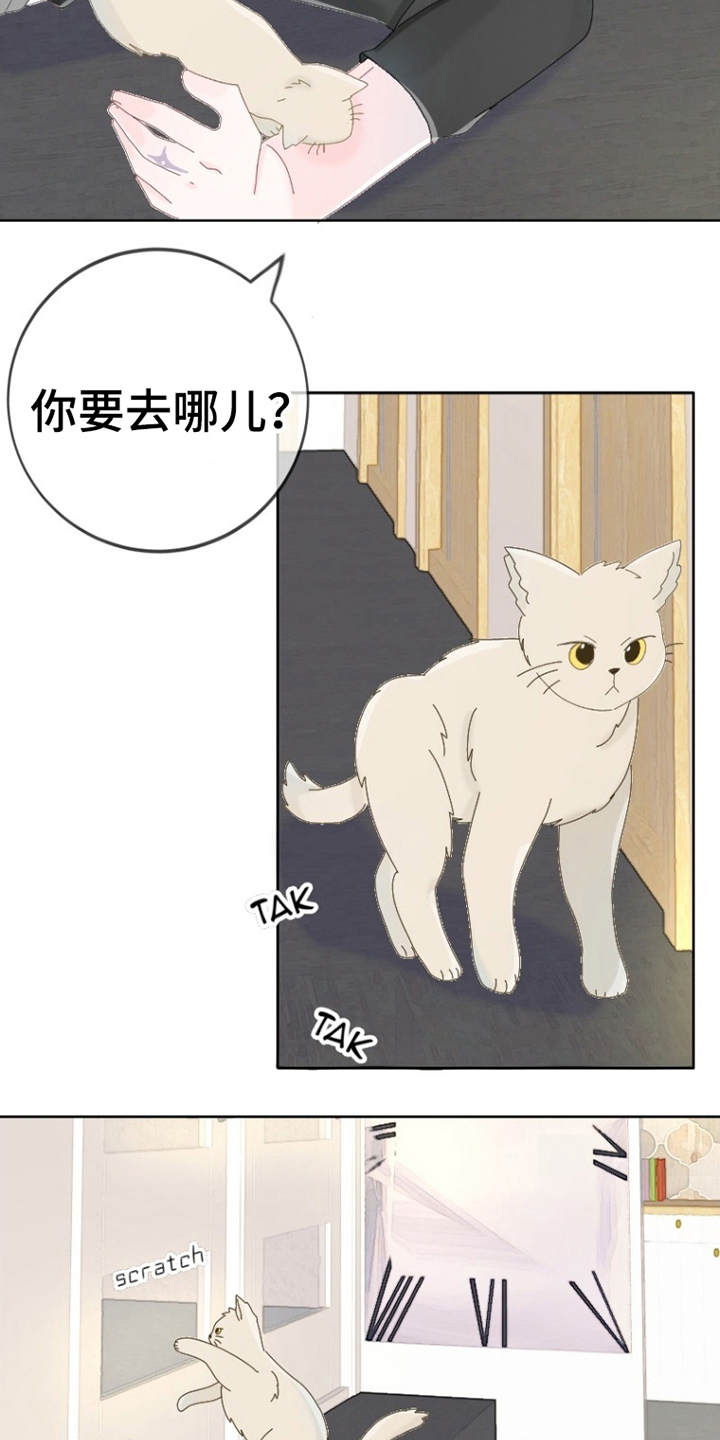 第6话：第6章：出门预览分镜