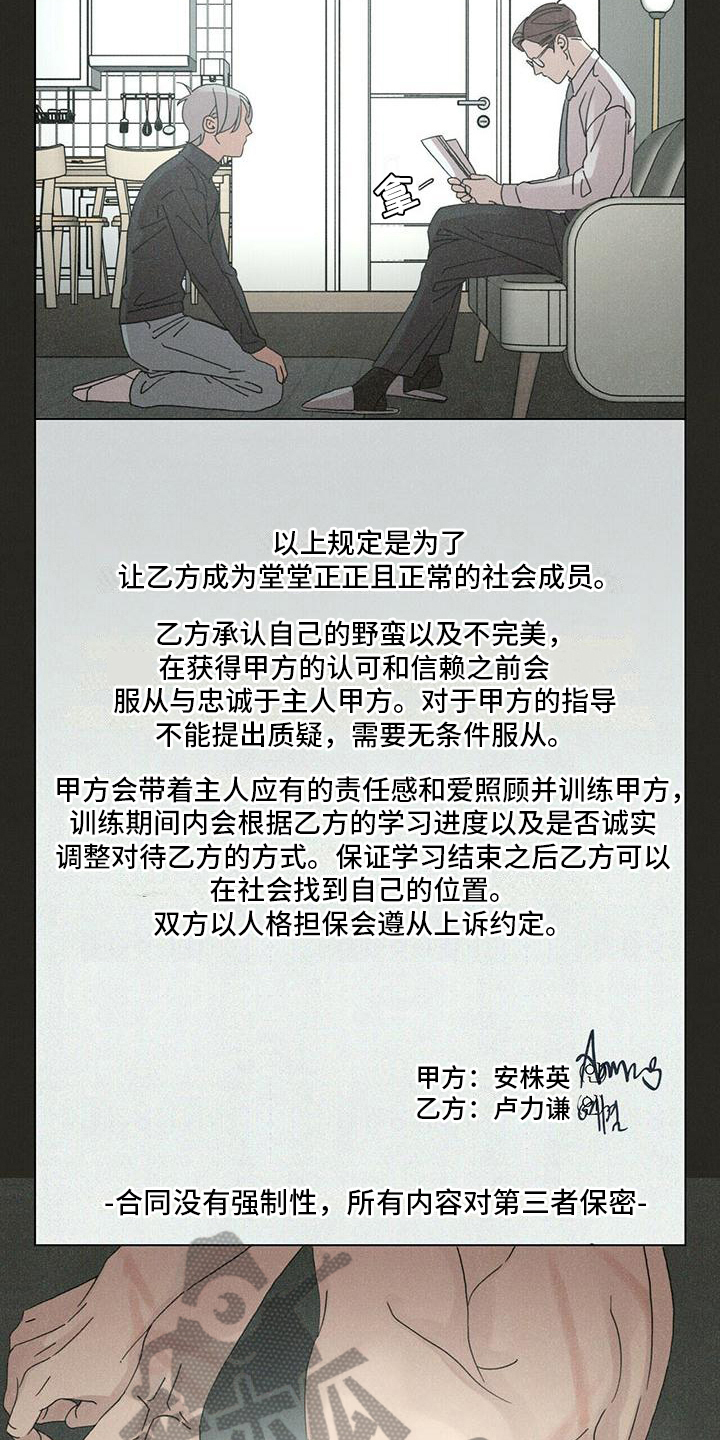 第14话：慌张预览分镜