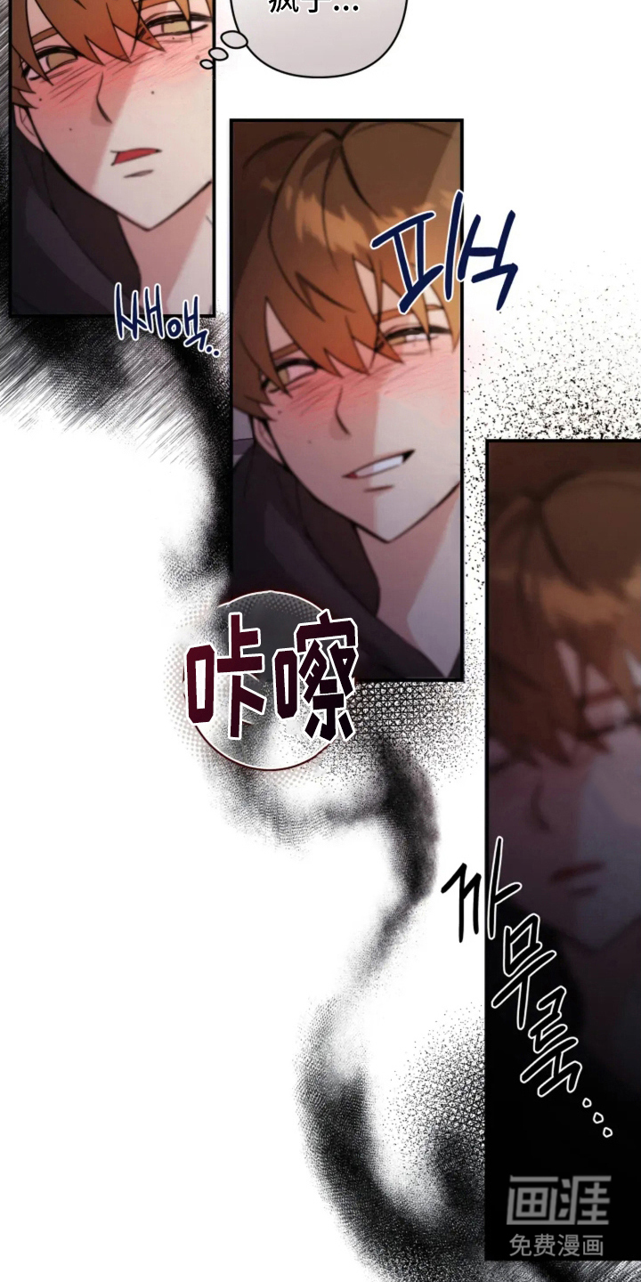 第9话：第9章：相机的目的预览分镜