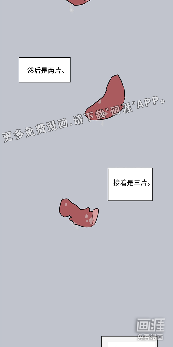 第17章:红色花瓣