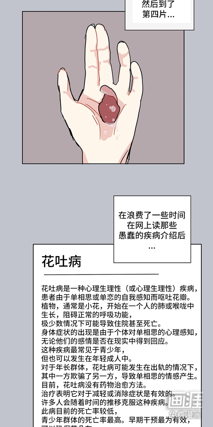 第17话：第17章：红色花瓣预览分镜