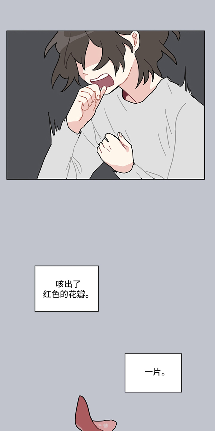 第17章:红色花瓣
