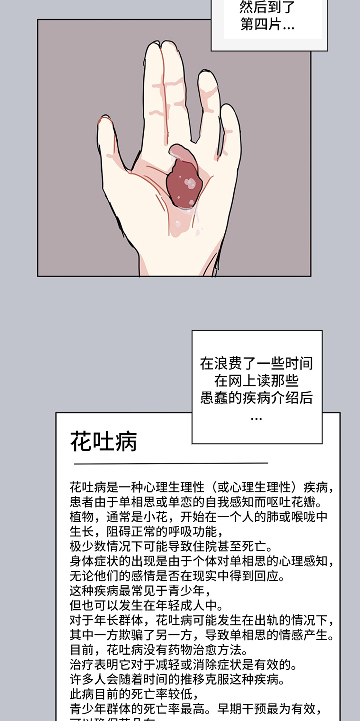 第17话：第17章：红色花瓣预览分镜