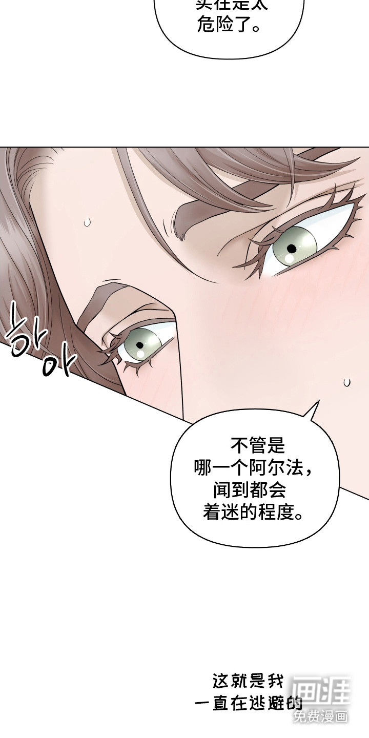 第12话：第12章：精神恍惚预览分镜