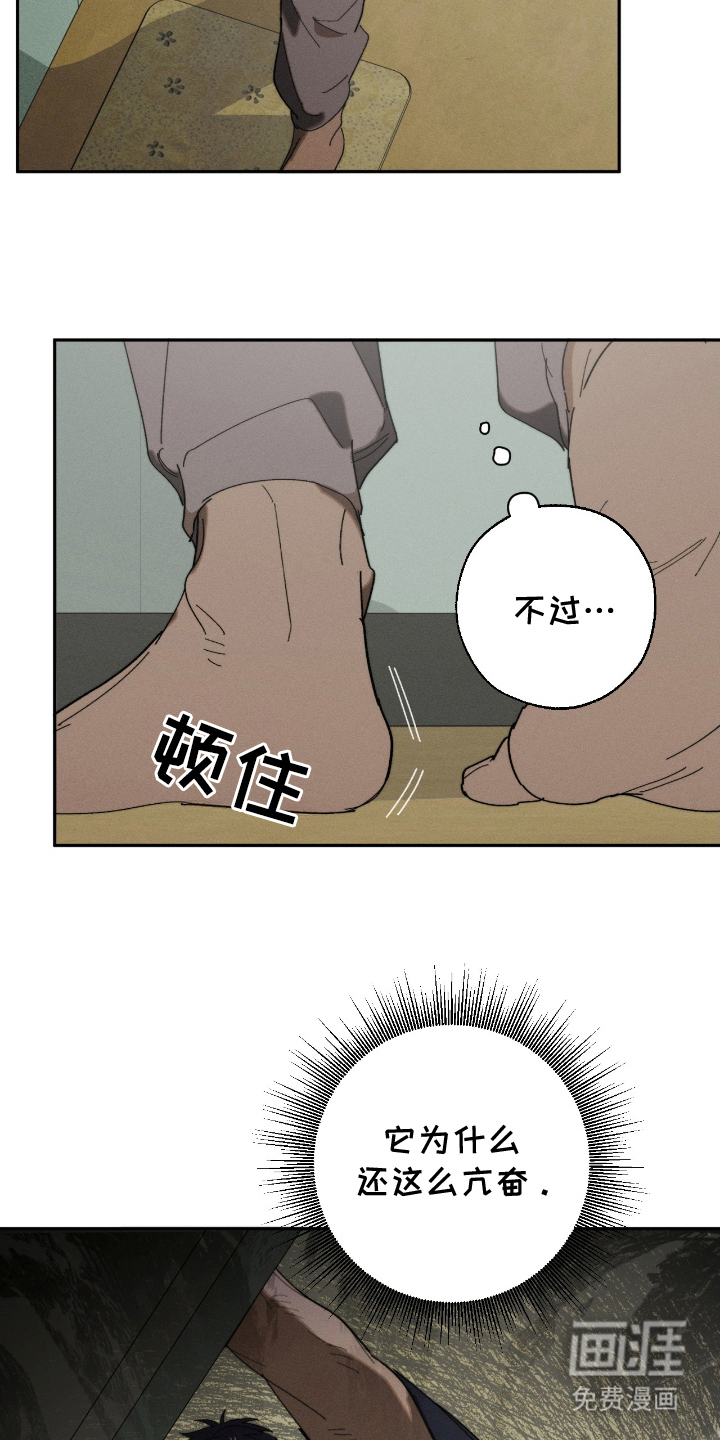 第8话：第8章：就是这个预览分镜