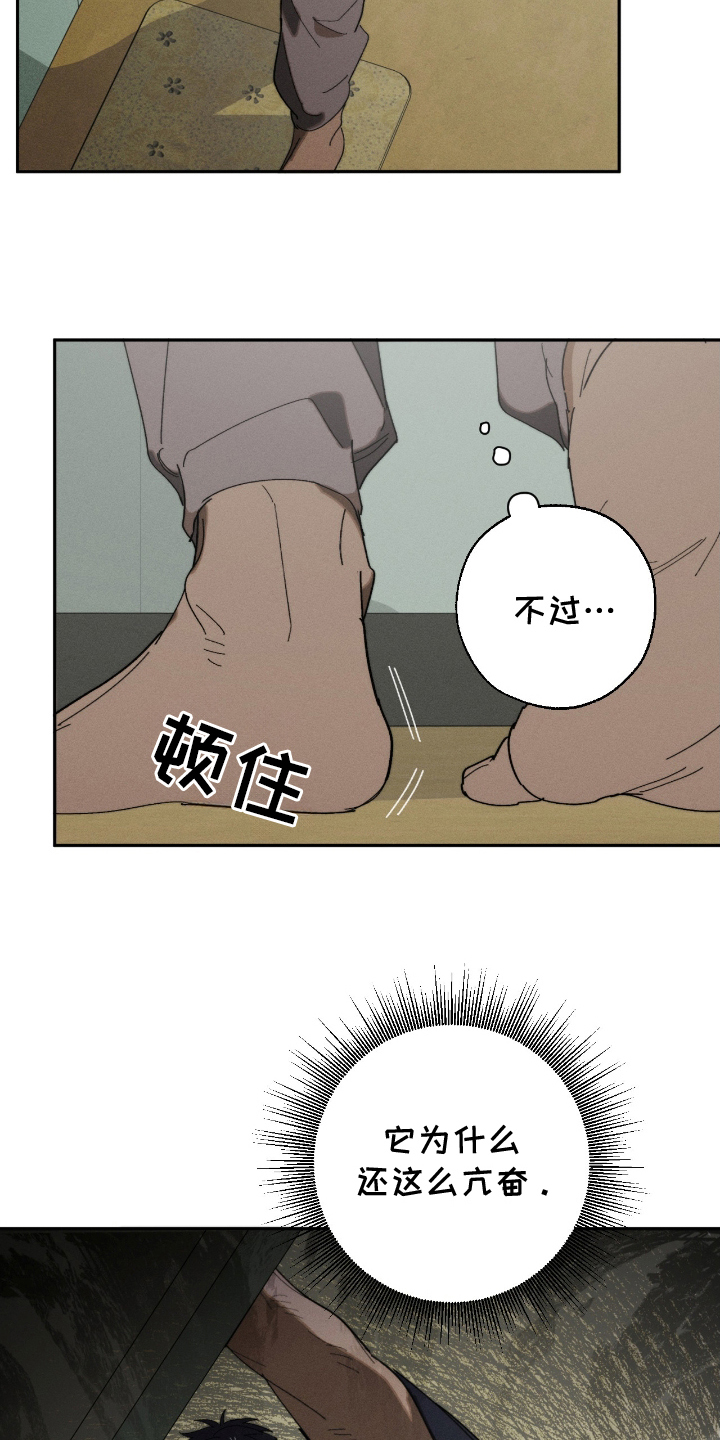 第8话：第8章：好奇预览分镜