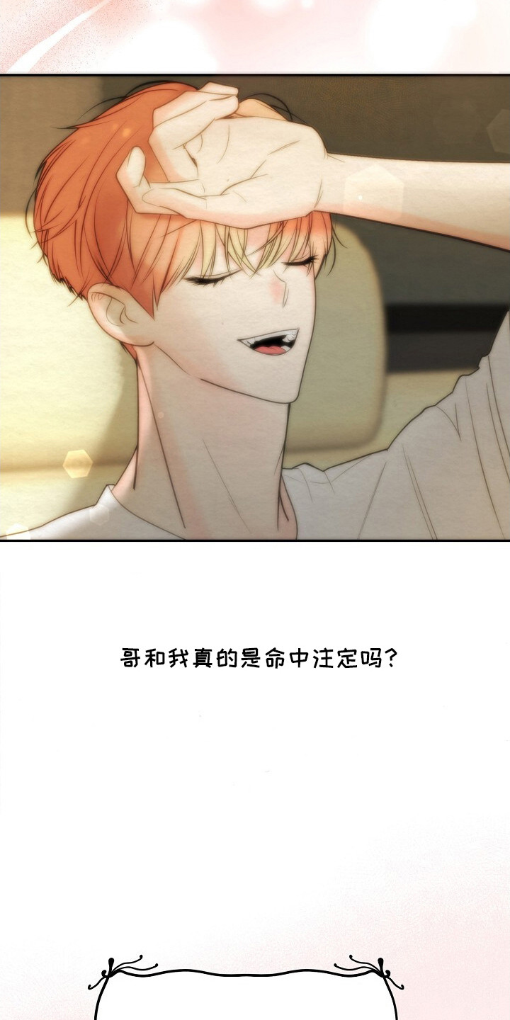 第16话：第16章：我的星星（完结）预览分镜
