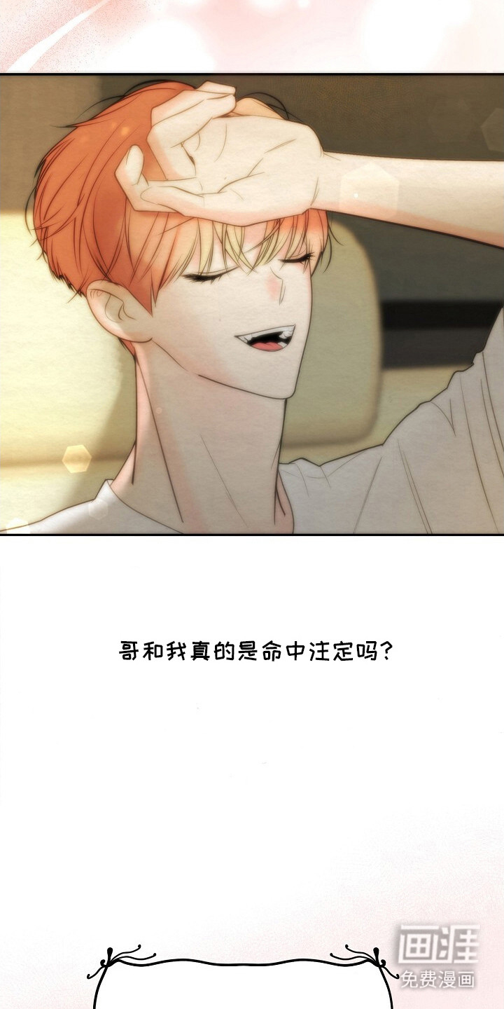 第14话：第14章：我的星星（完结）预览分镜