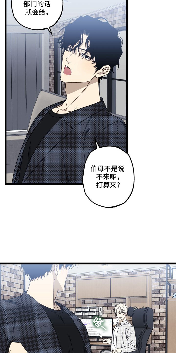 第4话：第4章：妈妈的粉丝信：过家家预览分镜