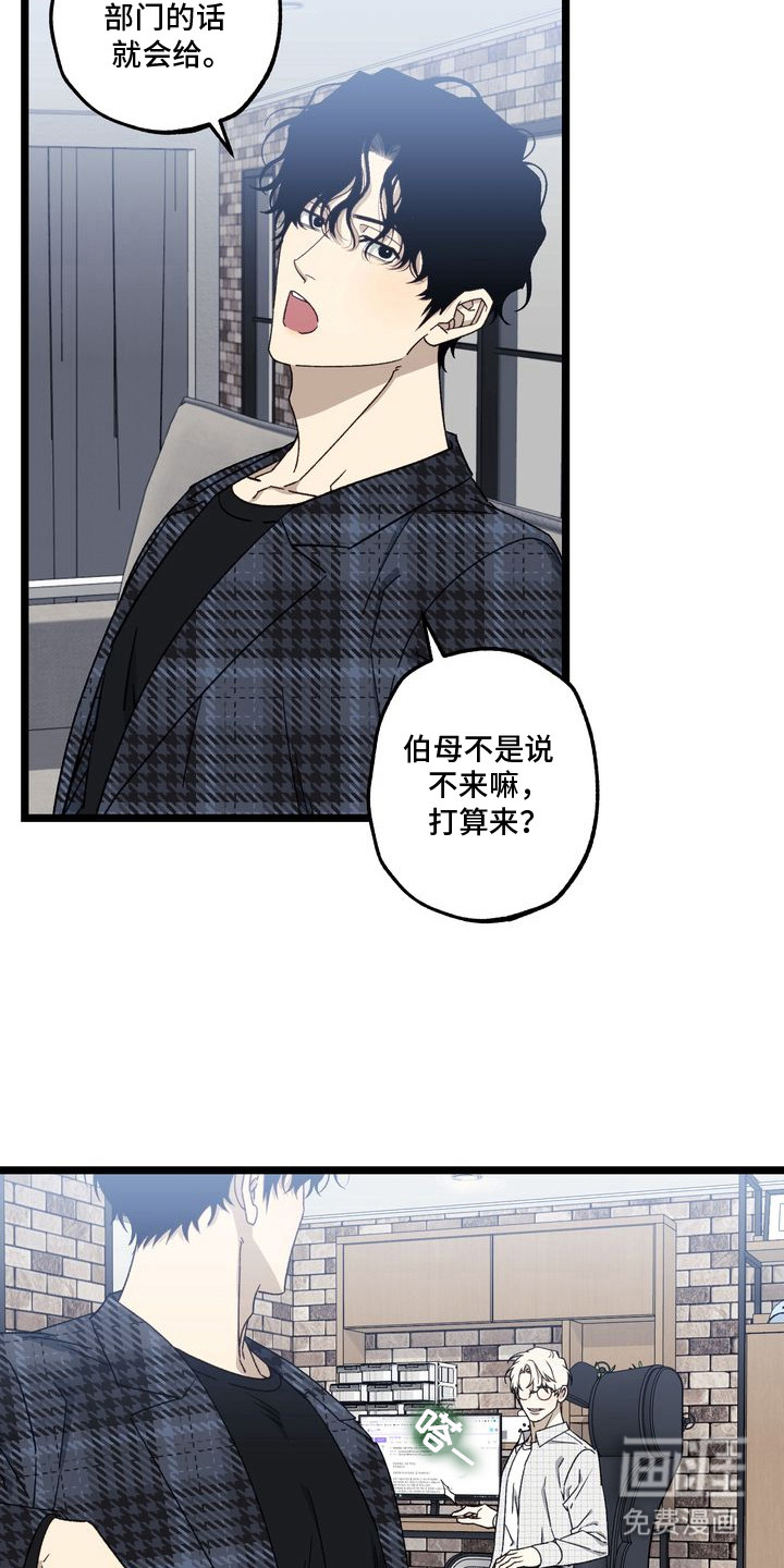 第4话：第4章：妈妈的粉丝信：过家家预览分镜