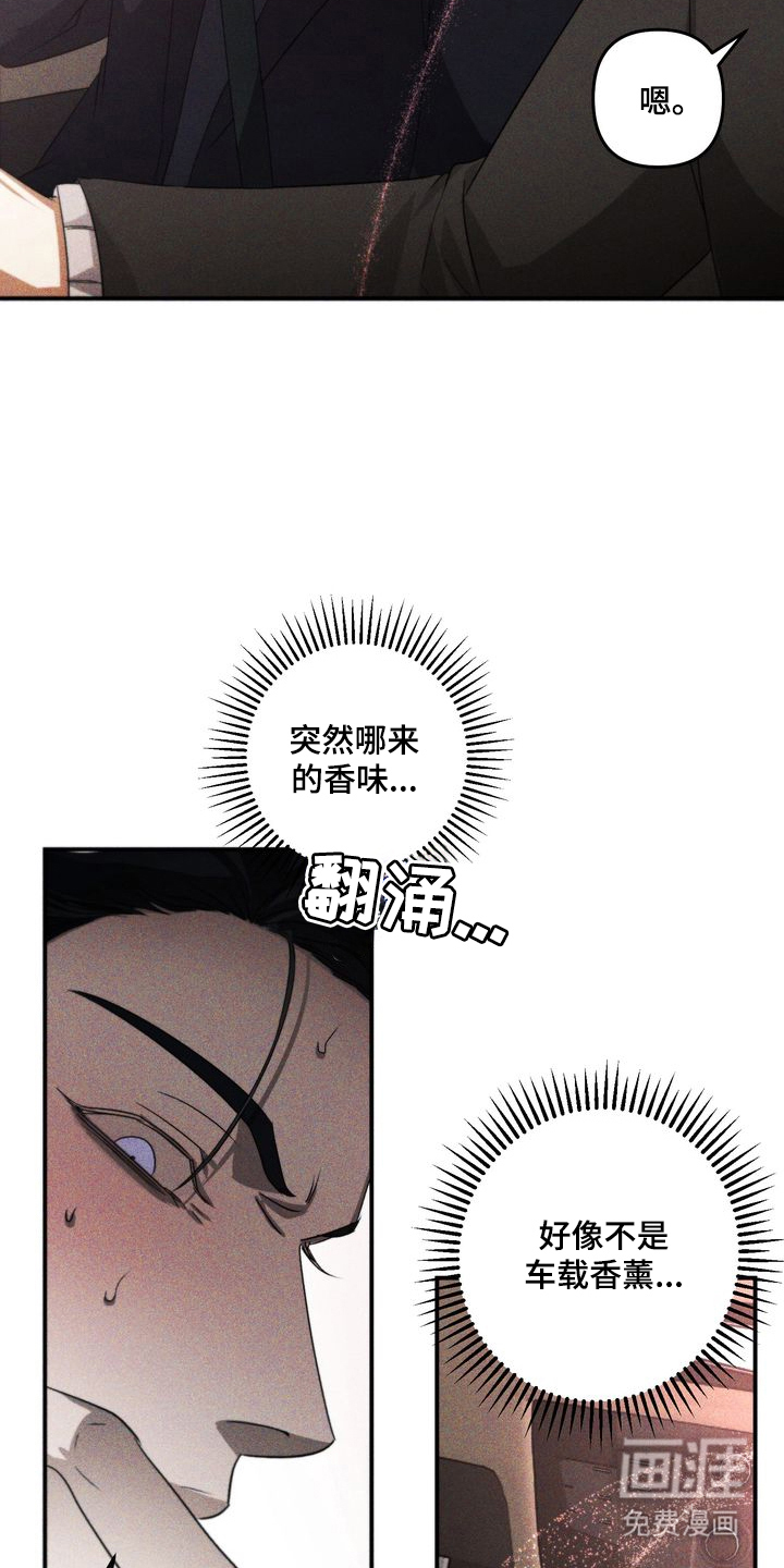 第3话：第3章：劣等标记 ：只有我可以预览分镜