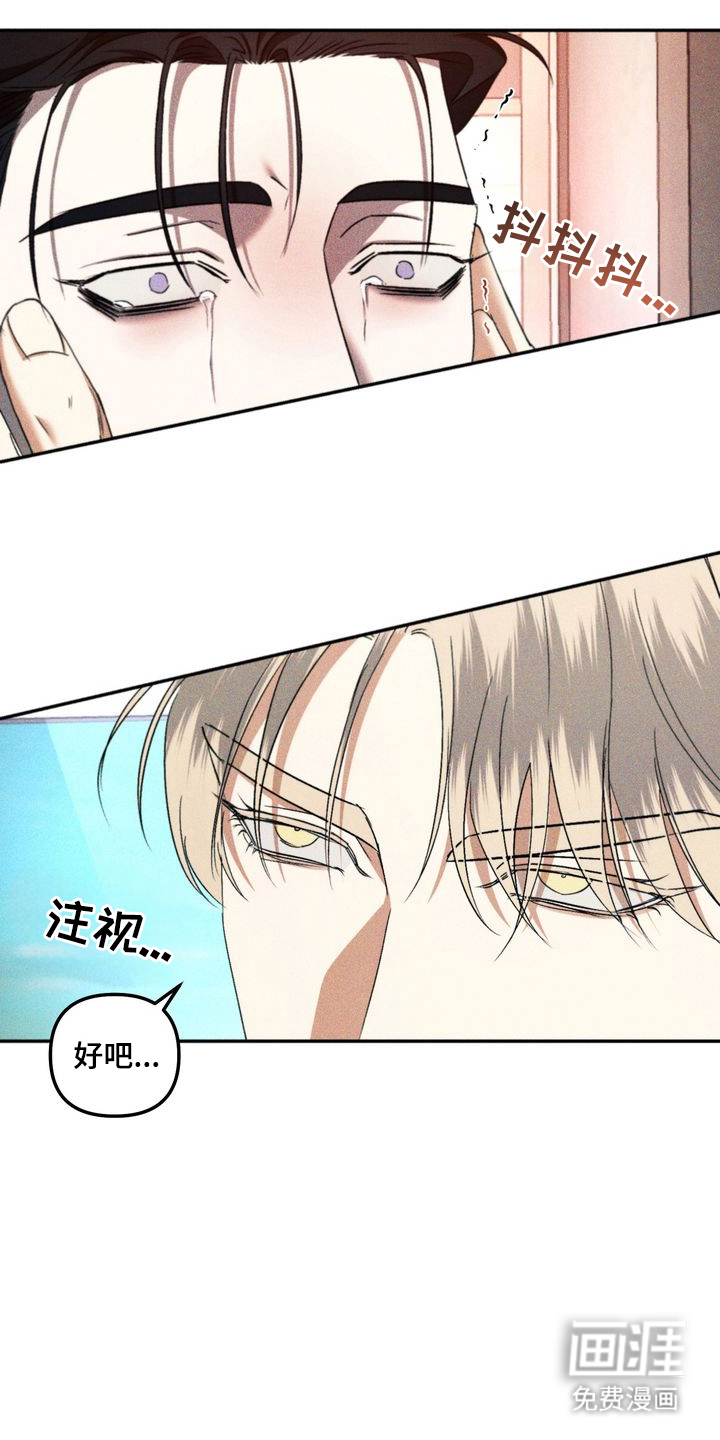 第12章:劣等标记:特别的关系(完)