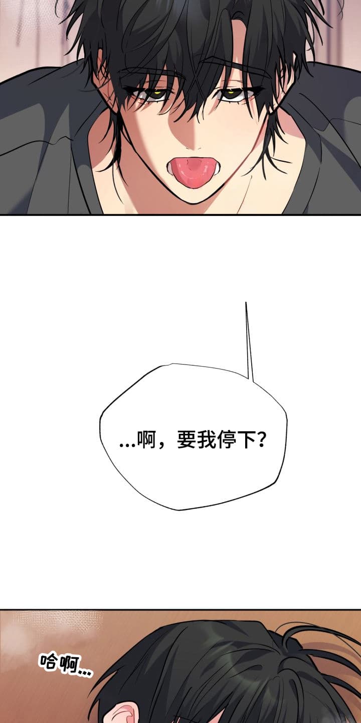 第12话：第12章：股掌之上：共同的秘密预览分镜