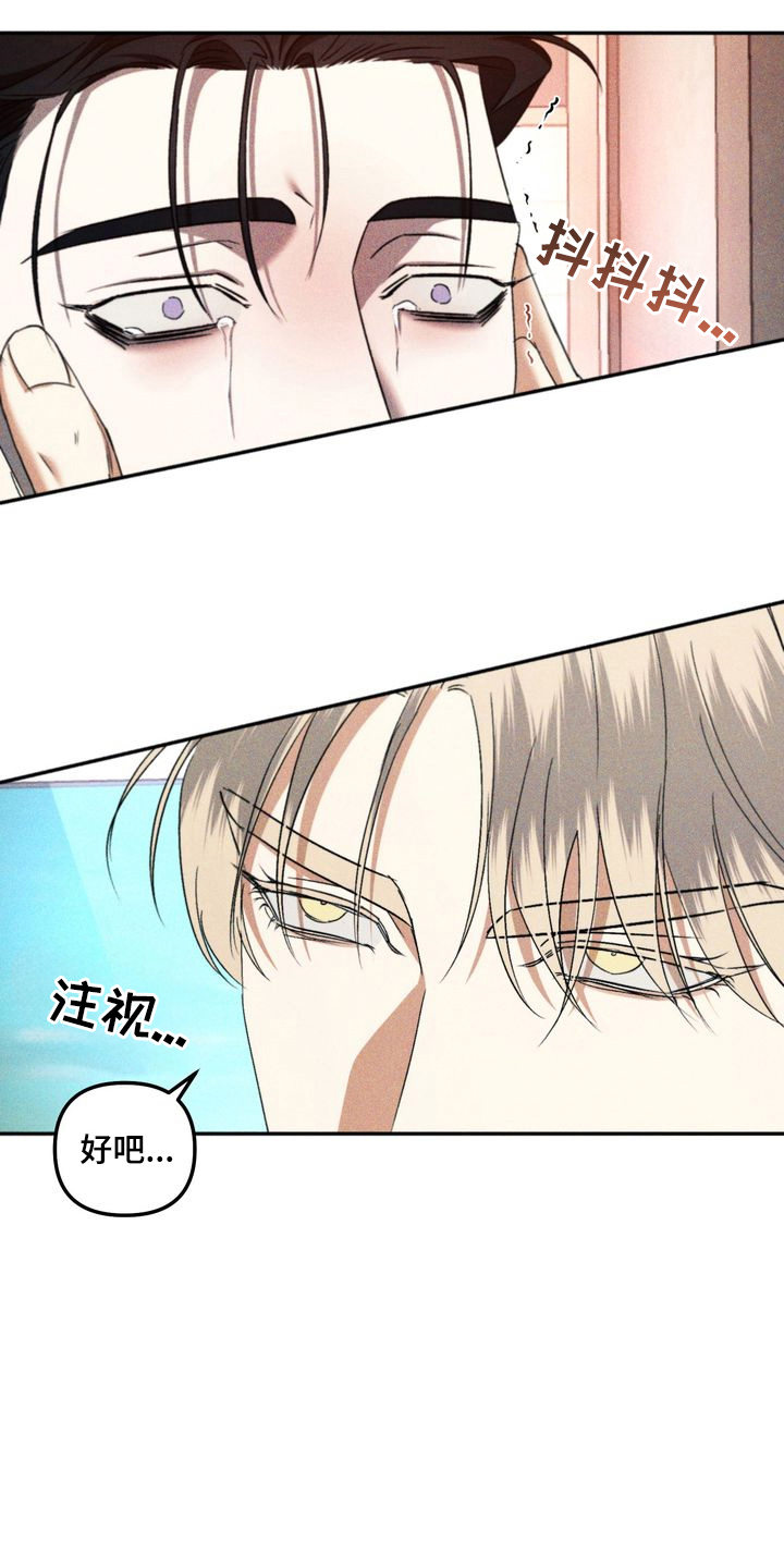 第12章:劣等标记:特别的关系(完)