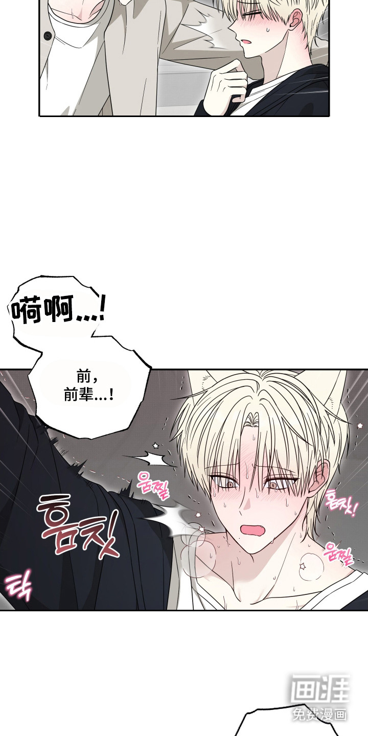 第8话：第8章：解释预览分镜