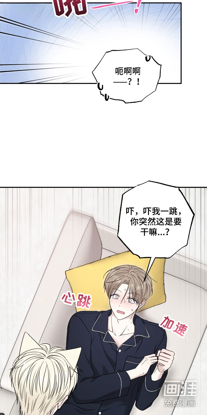 第12话：第12章： 脸红心跳预览分镜
