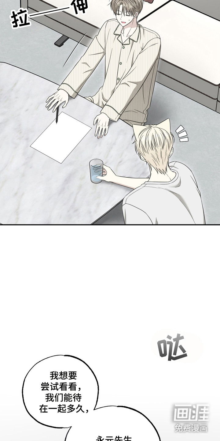 第14话：第14章：试试看预览分镜