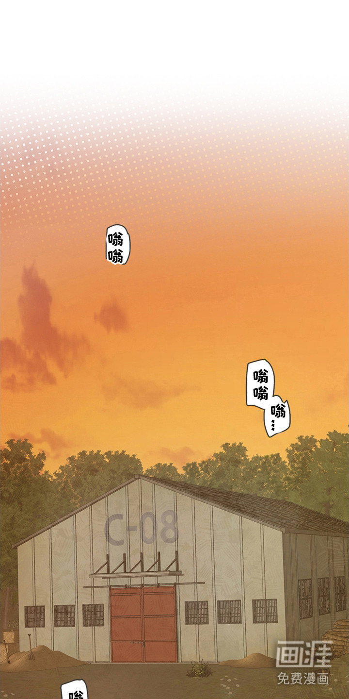 第4章:机器