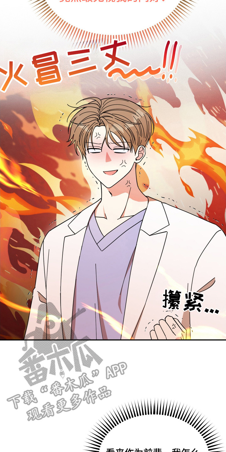 第3章:猫耳