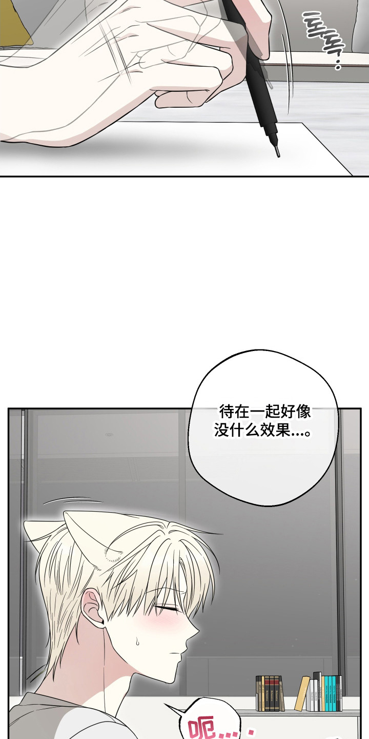 第14话：第14章：试试看预览分镜