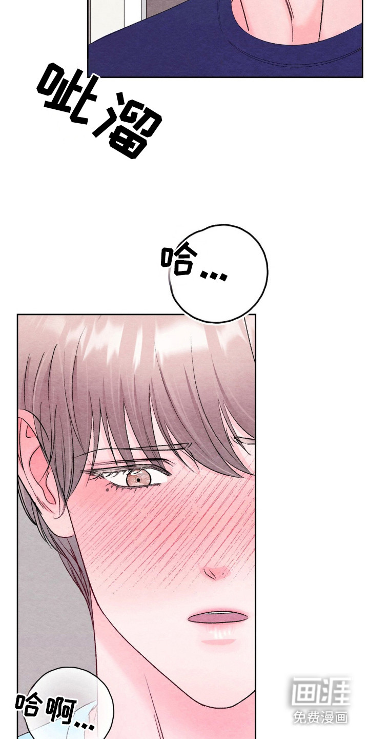 第15话：第15章：亲自帮忙预览分镜