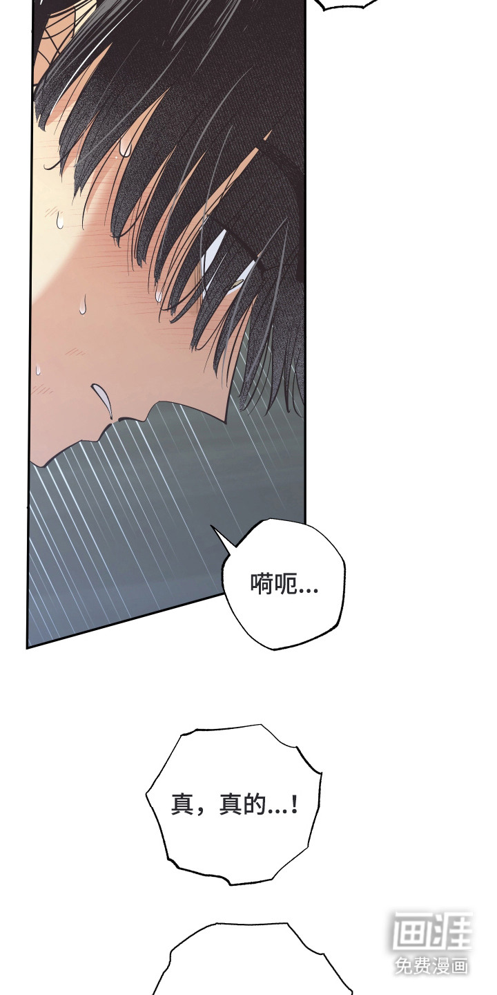 第10话：第10章：很无耻预览分镜