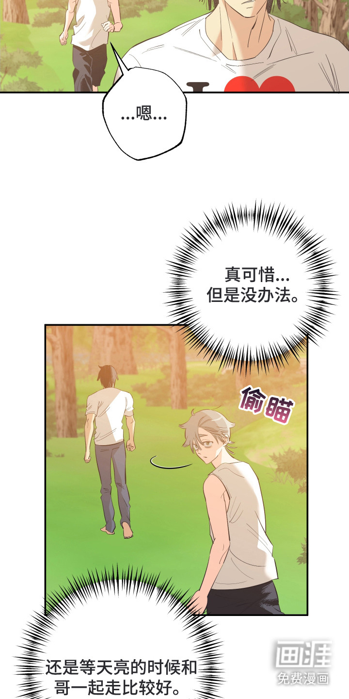 第14话：第14章：真心感谢预览分镜