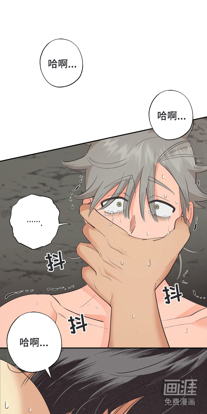 第19章:晕倒