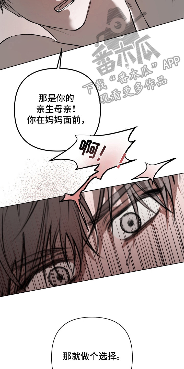 第19章:做出选择