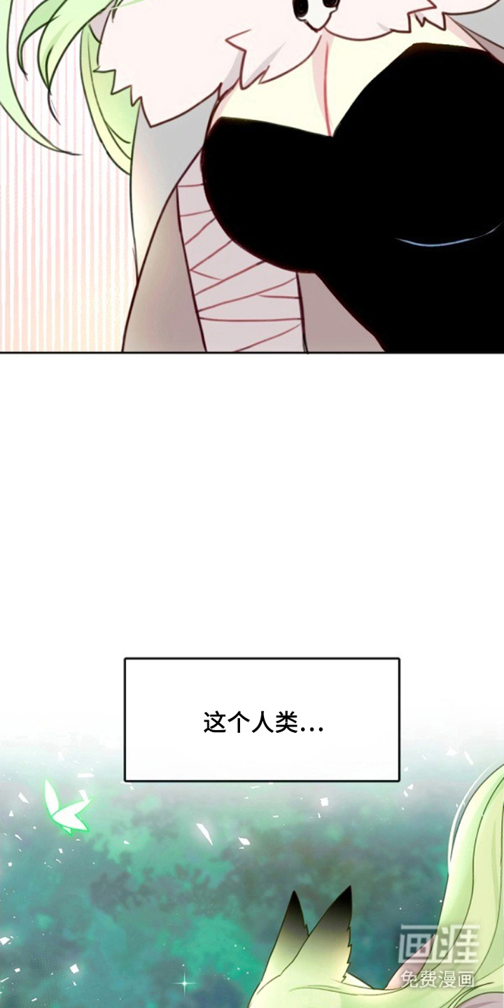 第5话：第5章：被发现预览分镜