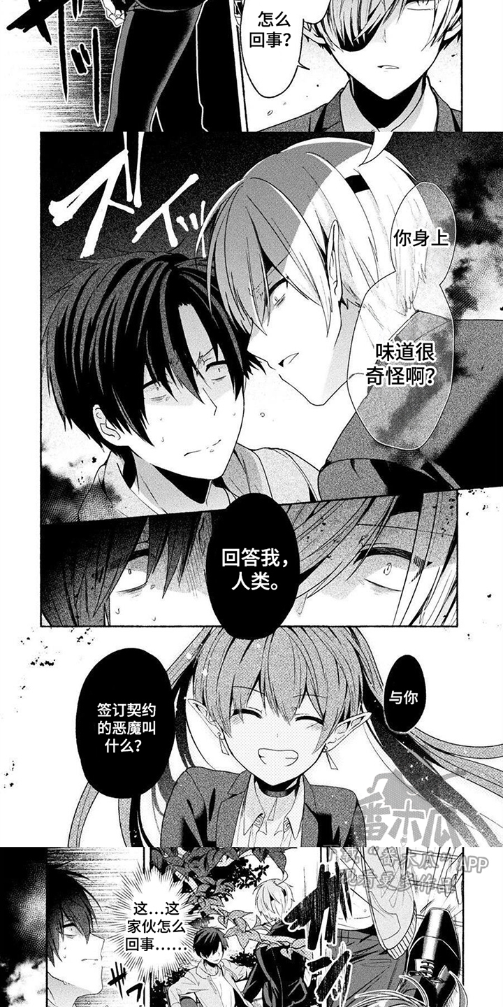 第8话：第8章：笨蛋情侣预览分镜