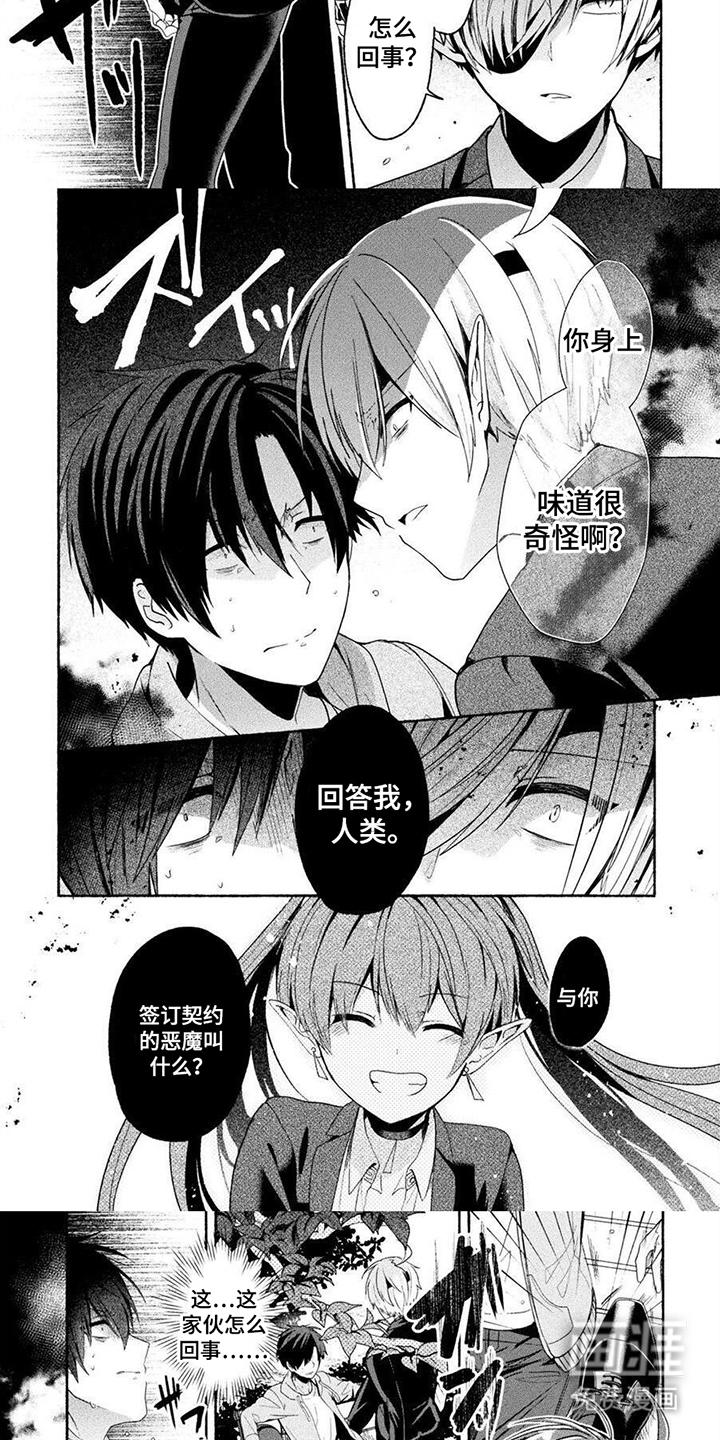 第8话：第8章：笨蛋情侣预览分镜