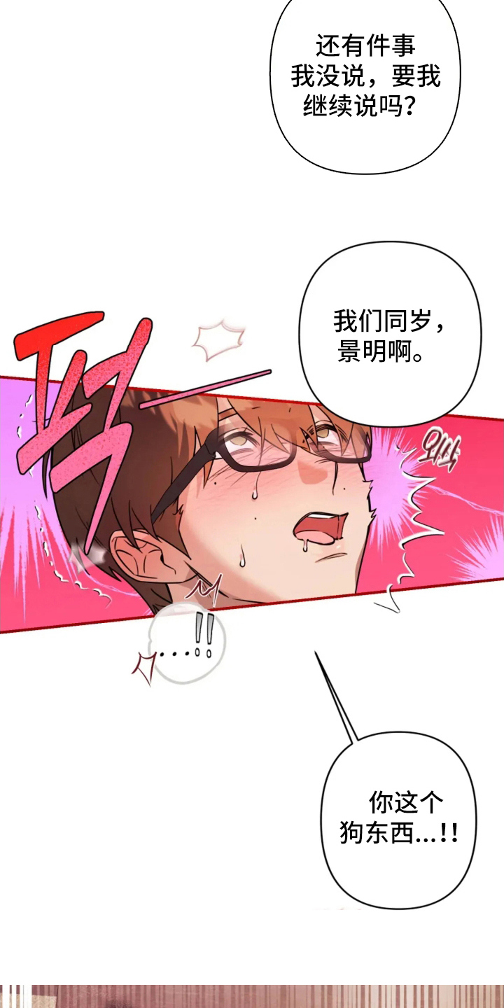 第9话：第9章：相机的目的预览分镜