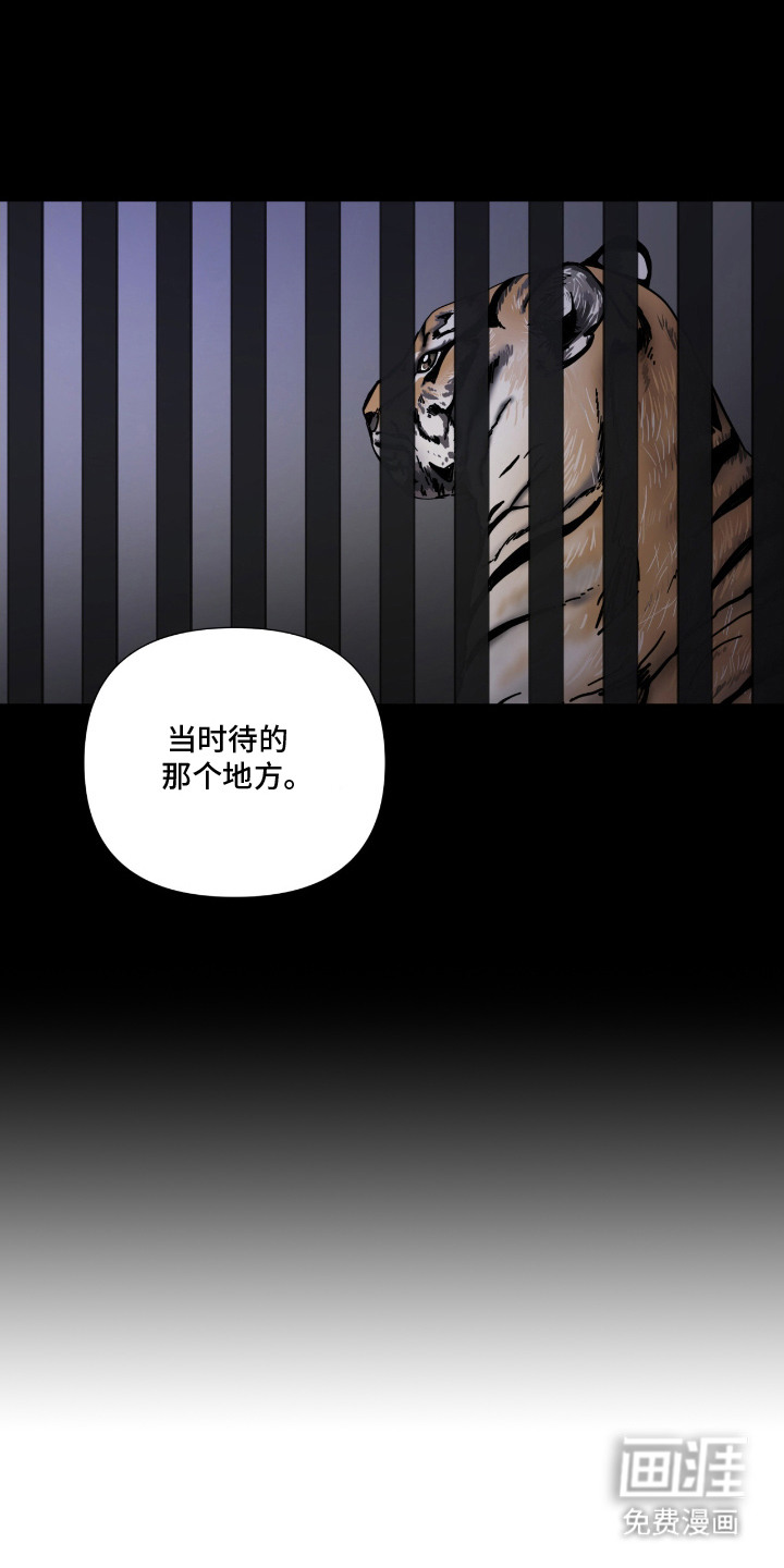 第14话：第14章：人生的意义预览分镜