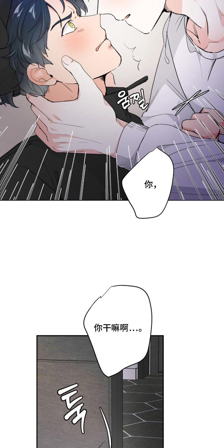 第3话：第3章：请求预览分镜