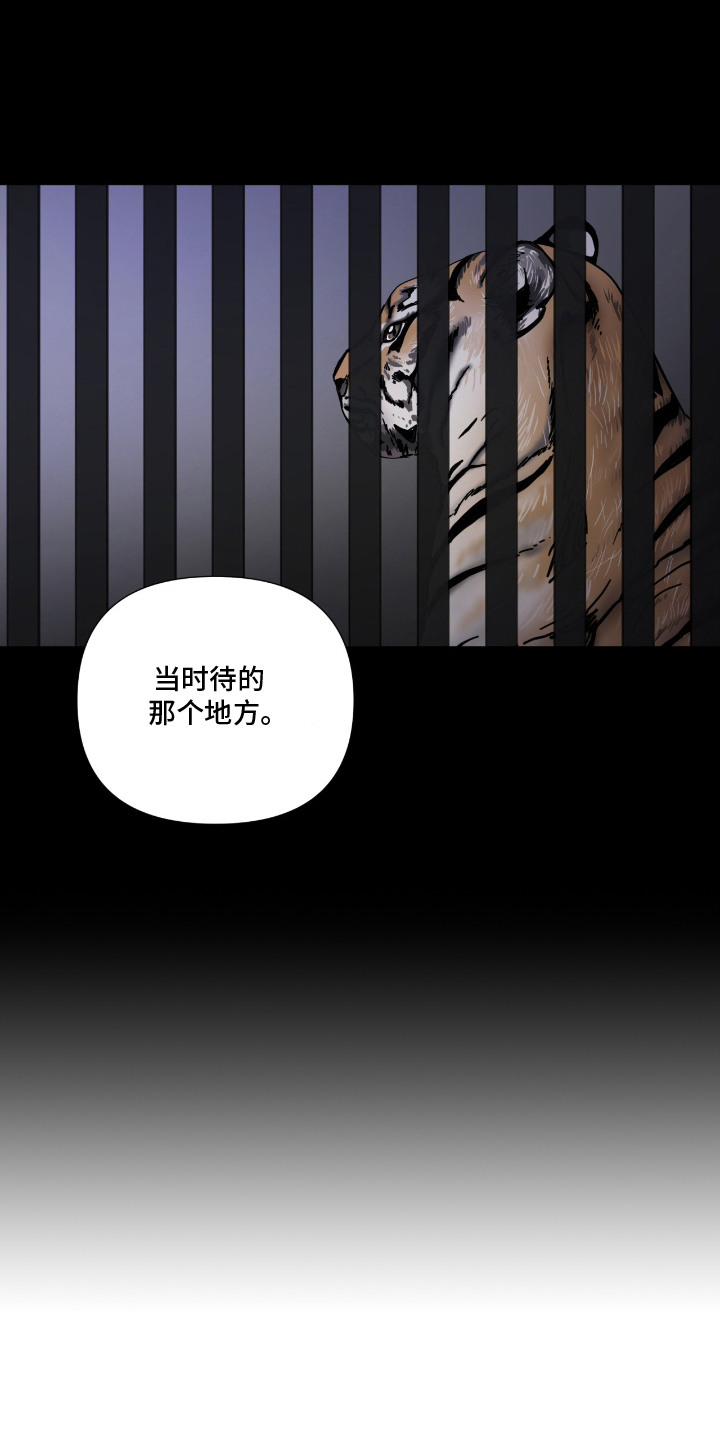 第14话：第14章：人生的意义预览分镜