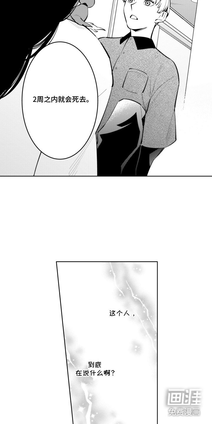 第5话：第5章：不相信预览分镜