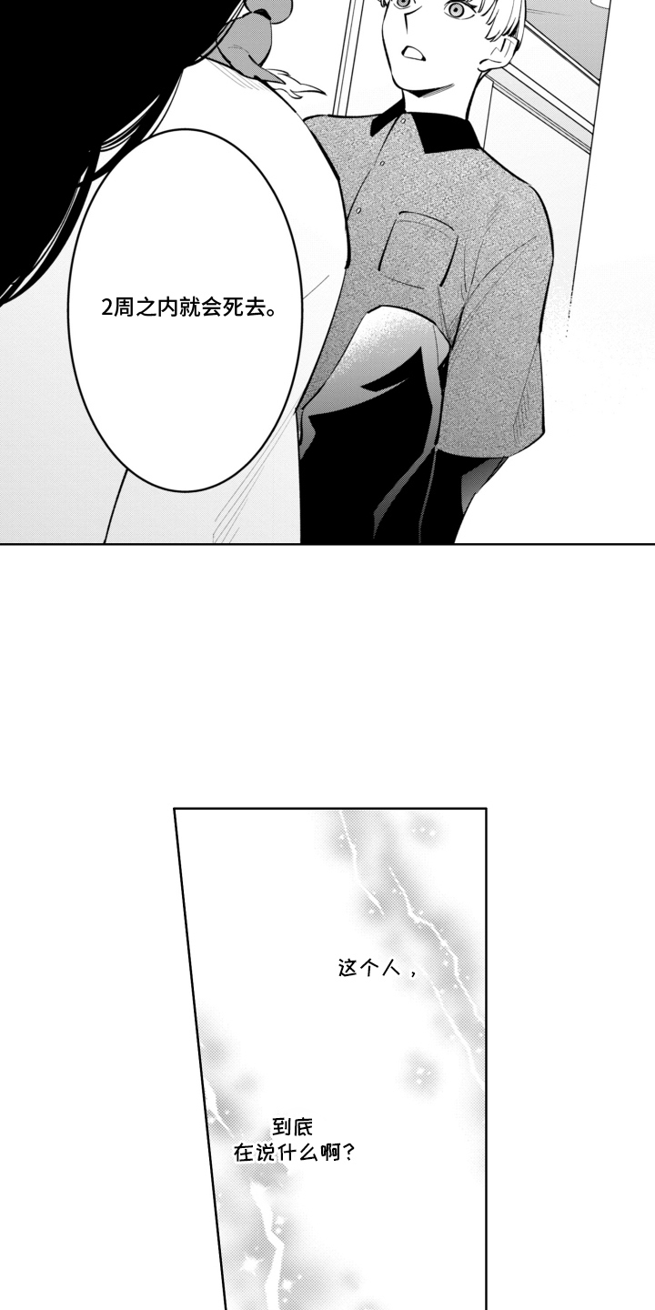 第5话：第5章：不相信预览分镜
