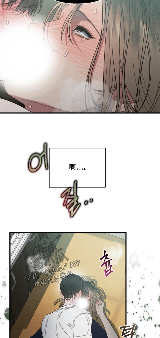 第15话：第15章：不管了预览分镜