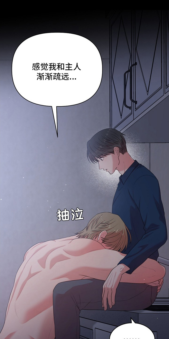 第17话：第17章：戒指预览分镜