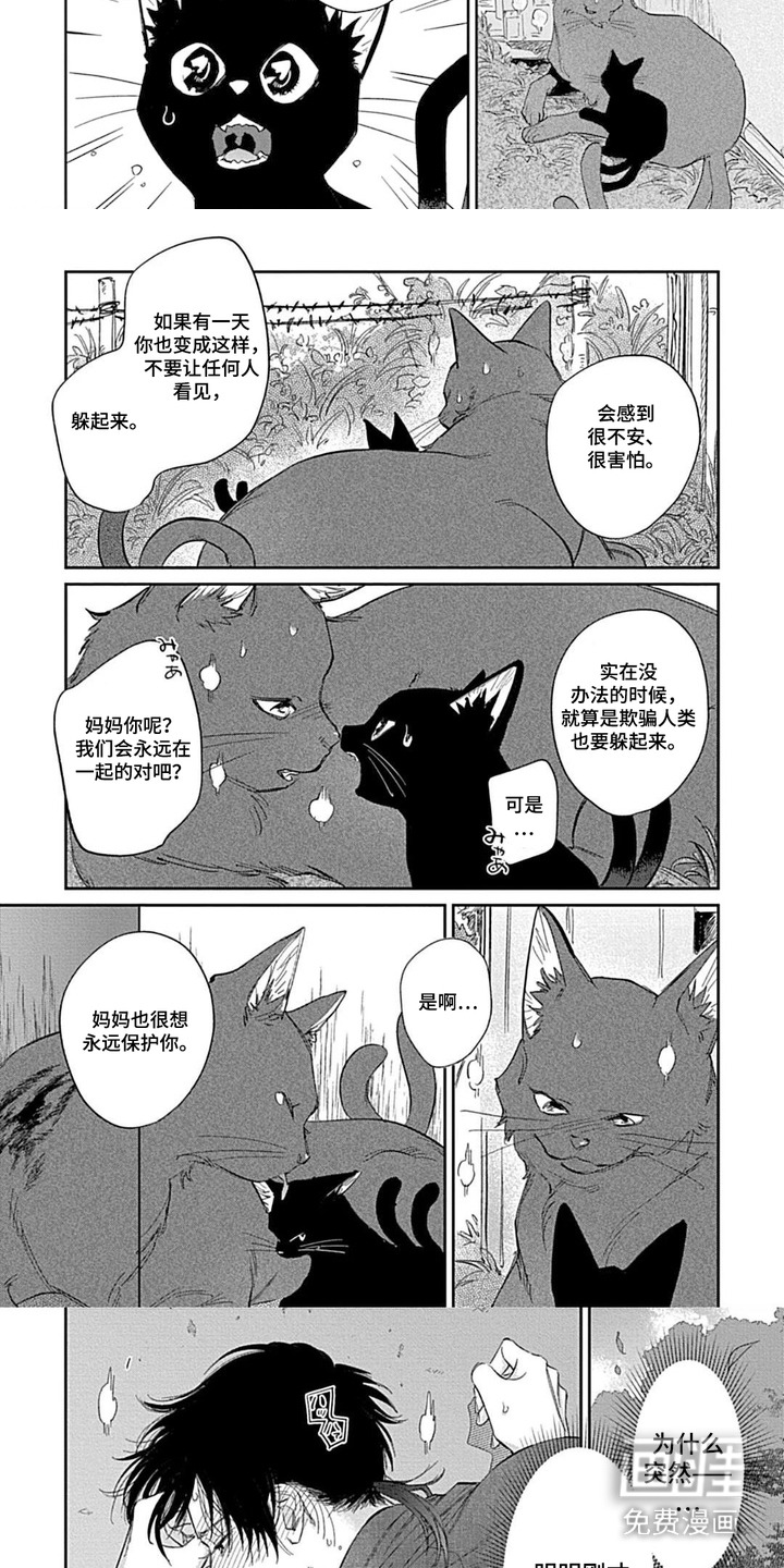 第5话：第5章：发热预览分镜