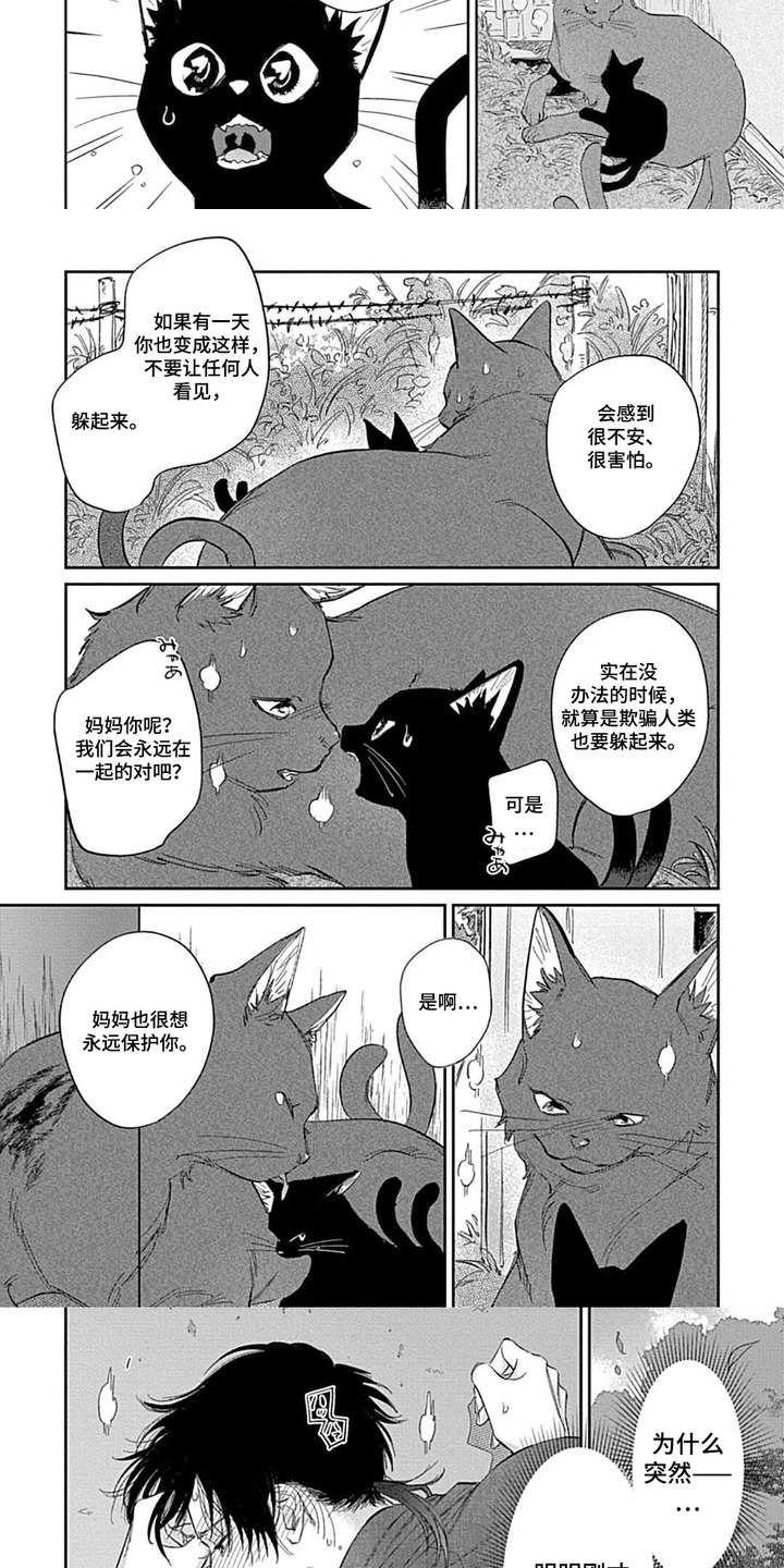 第5话：第5章：发热预览分镜